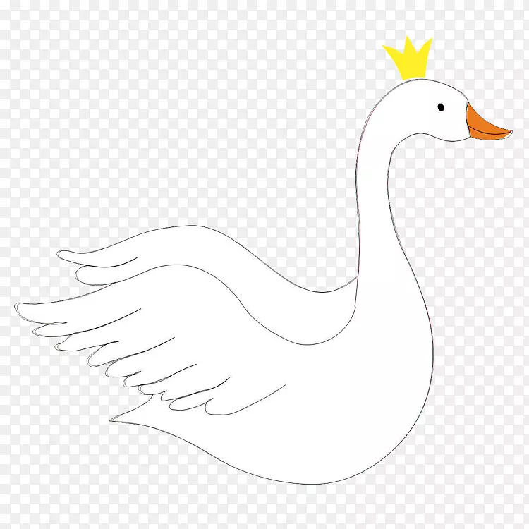 鸭鹅鸡羽鸭