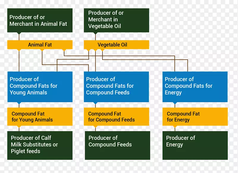 动物脂肪食品的流程图.油酸化学