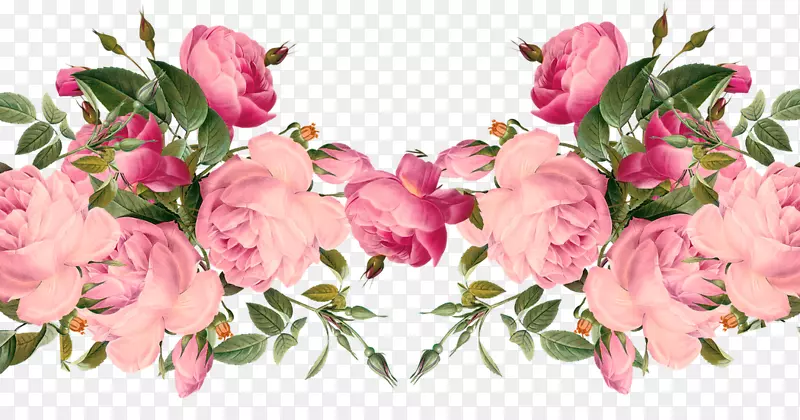 玫瑰无花粉红剪贴画-希腊乔治二世