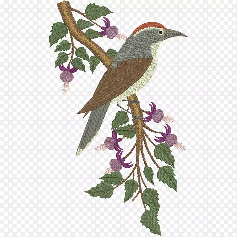 鸟鹦鹉机刺绣图案-鸟