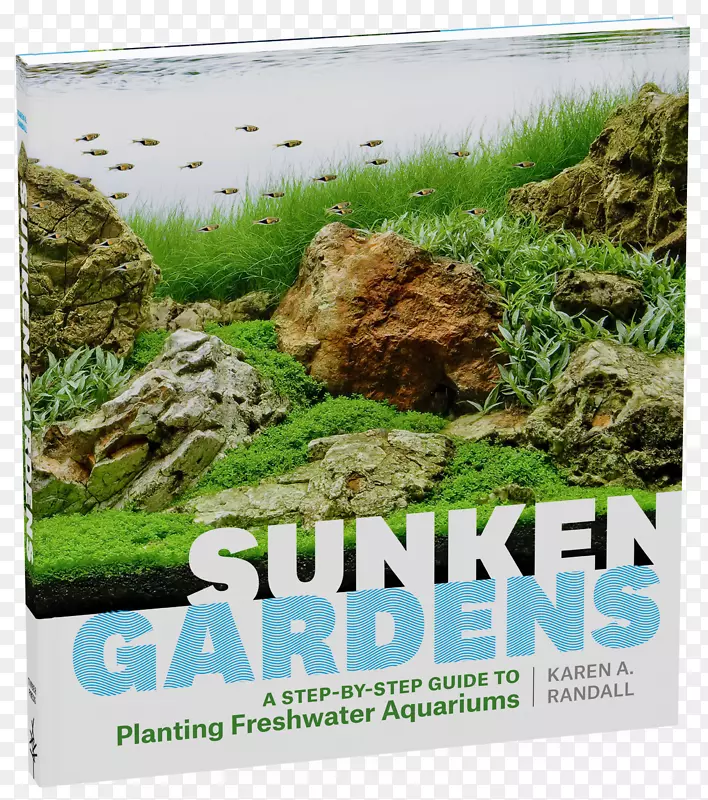 沉陷花园：一步的指导淡水水族馆的种植，水族馆植物的百科全书，水族箱