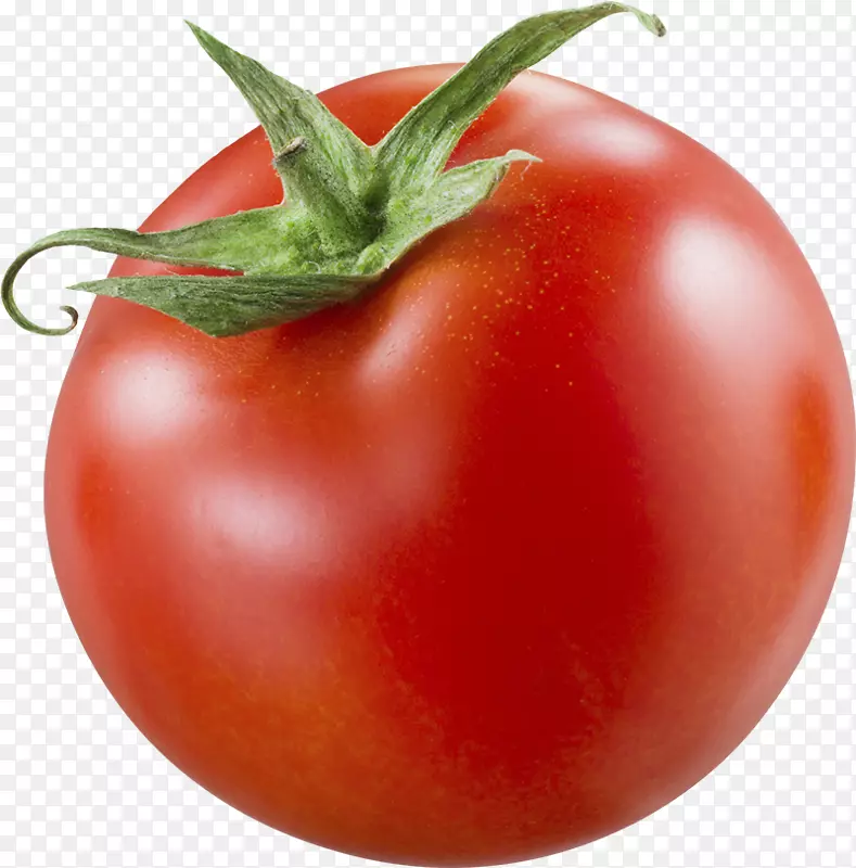 李子番茄灌木番茄有机食品-番茄
