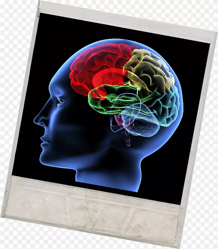 人脑认知神经科学概念-注意缺陷多动障碍