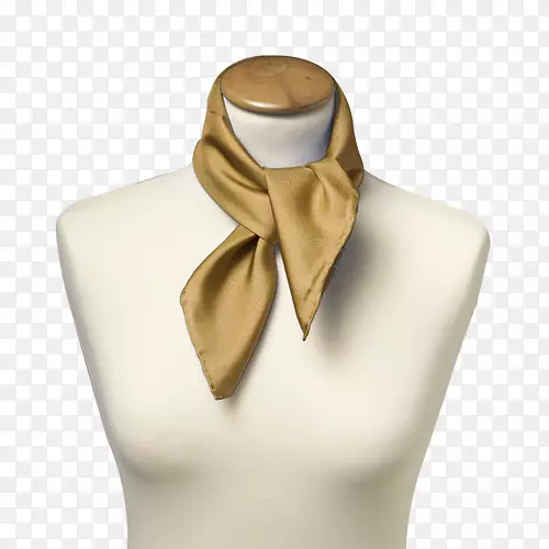 领带，丝巾，手帕，头巾，金围巾