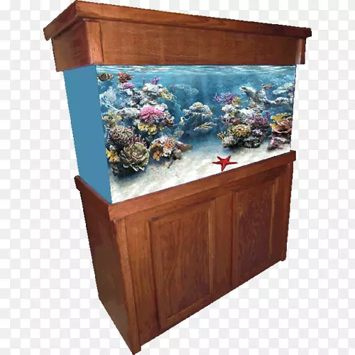 珊瑚礁水族馆家具水族馆照明热带鱼-j‘s企业