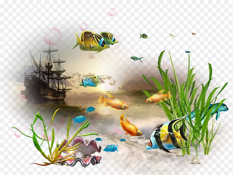 鱼类水族馆海洋生物动物-鱼类