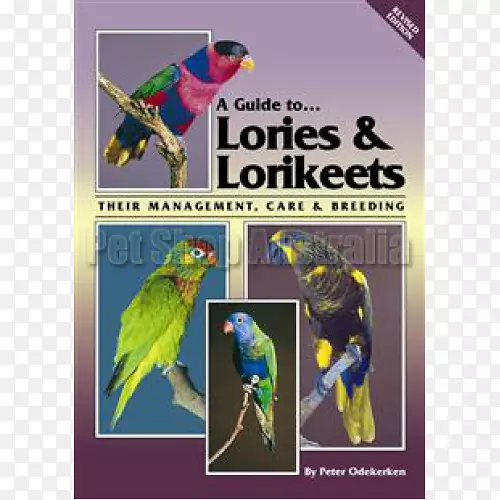 金刚鹦鹉-一本关于鹦鹉的指南(修订版)：它们的管理、照料和繁殖