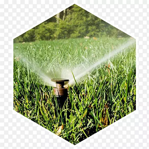灌溉喷头作物草坪草