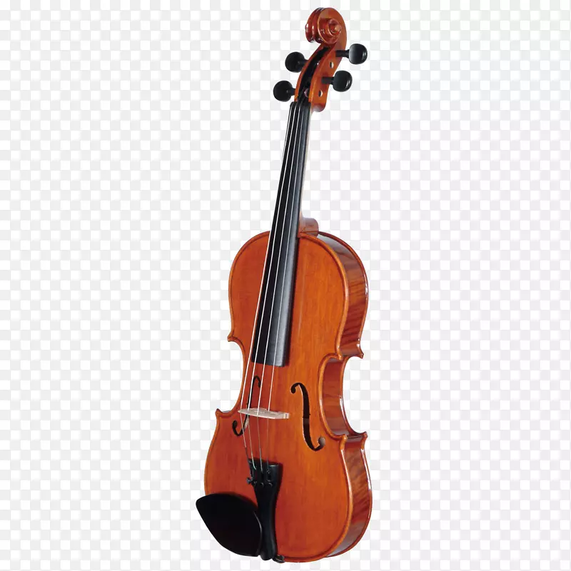 小提琴乐器音乐家小提琴