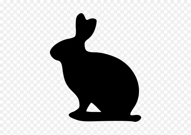 国内兔狮头兔荷兰兔佛兰德巨兔