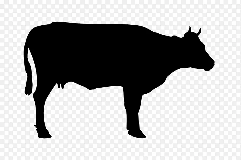 荷斯坦，弗里西亚牛，利默辛牛，牛肉，剪贴画-脏牛