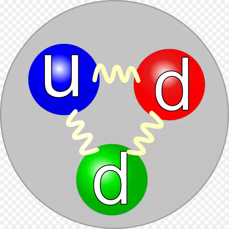 相对论重离子对撞机-夸克质子自旋科学