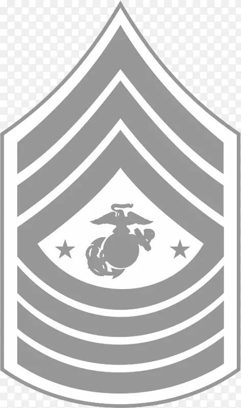 海军陆战队中士美国海军陆战队军衔徽章
