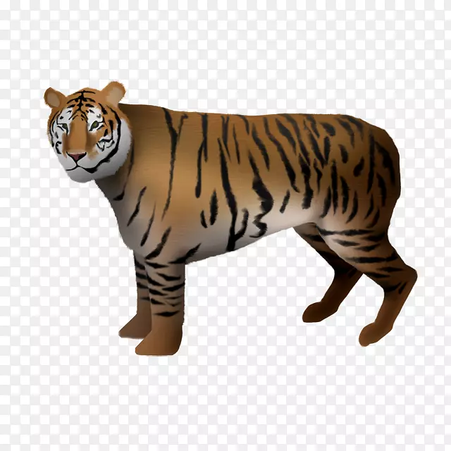 老虎、大猫、陆生动物、美洲狮-虎