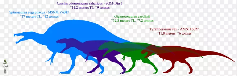 南方巨兽龙恐龙大小