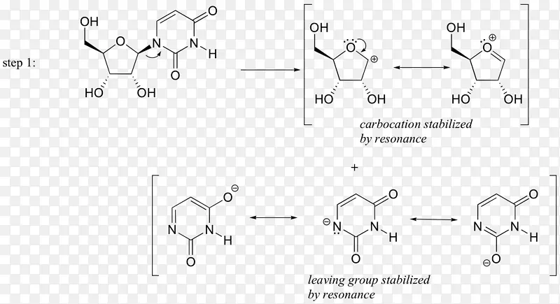 生物化学碳阳离子电亲白术书写合理的有机反应机理