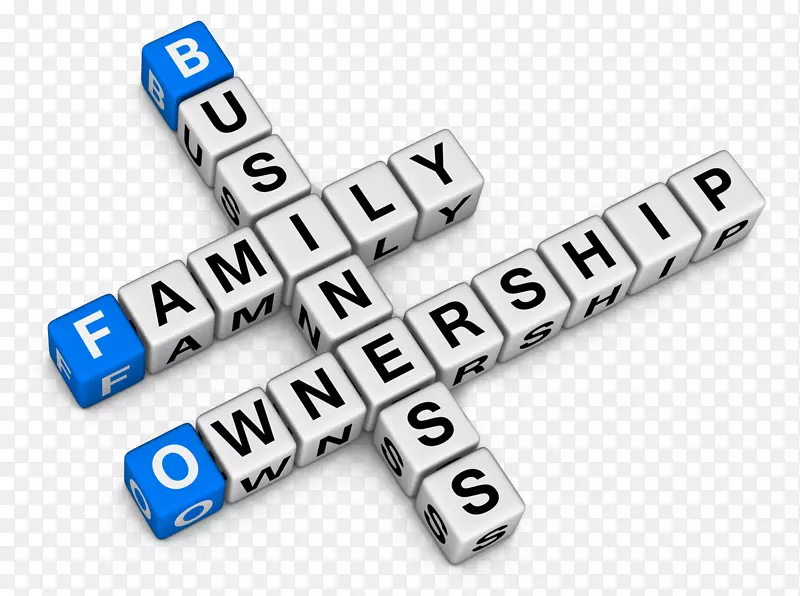 家庭商业计划-业务