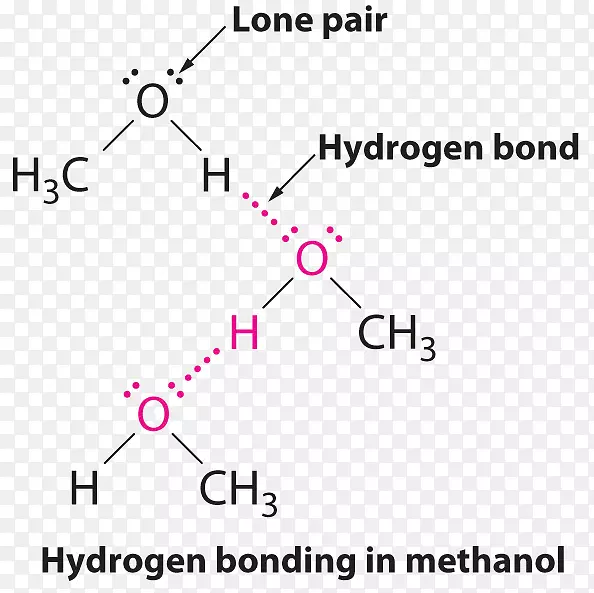 分子间力氢键化学三甲胺