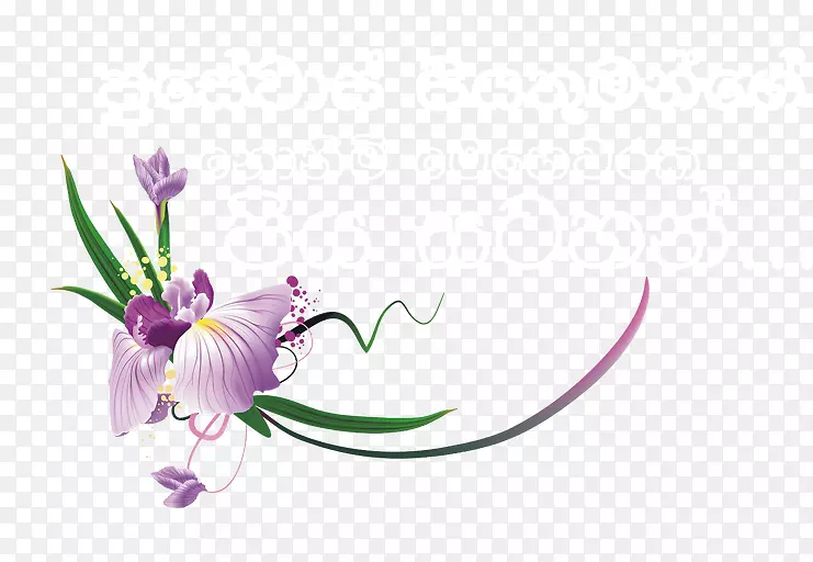 花瓣花卉设计植物茎紫罗兰-约瑟夫·瓦斯