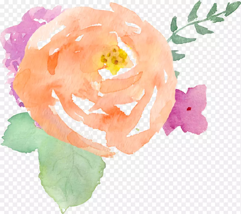 花园玫瑰水彩画摄影师锑之花