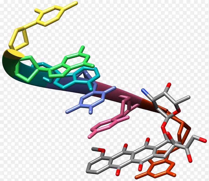阿霉素DNA蒽环化学DNK-脱氧尿苷单磷酸