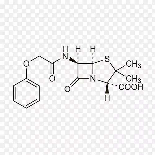 氨苄青霉素阿莫西林抗生素γ球蛋白