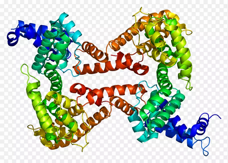 维生素d结合蛋白gcMAF球蛋白-γ球蛋白