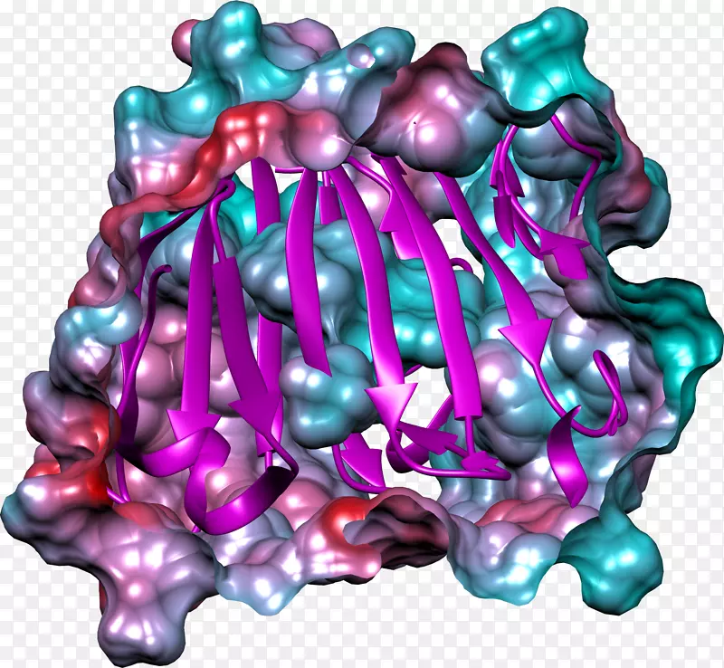 艺术粉红m有机体-丙种球蛋白