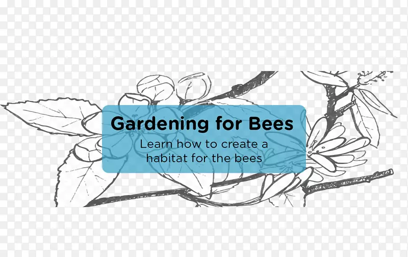 养蜂业蜂房养蜂人-蜜蜂