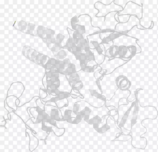 画线艺术白色/m/02csf剪贴画-乙酰乳酸合酶