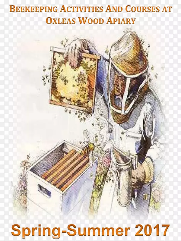 奥克斯拉斯木料养蜂