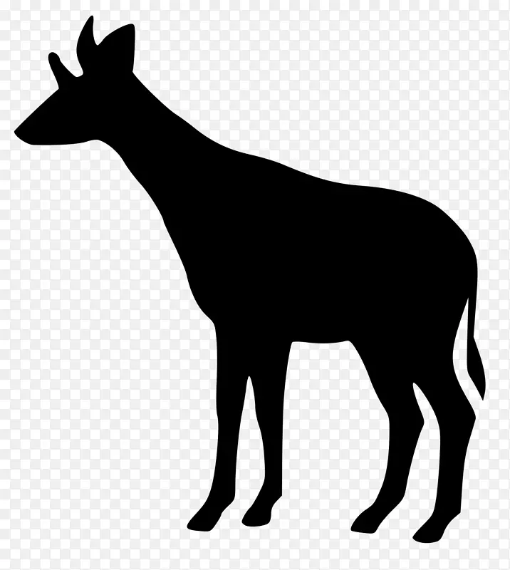 Okapi上新世长颈鹿