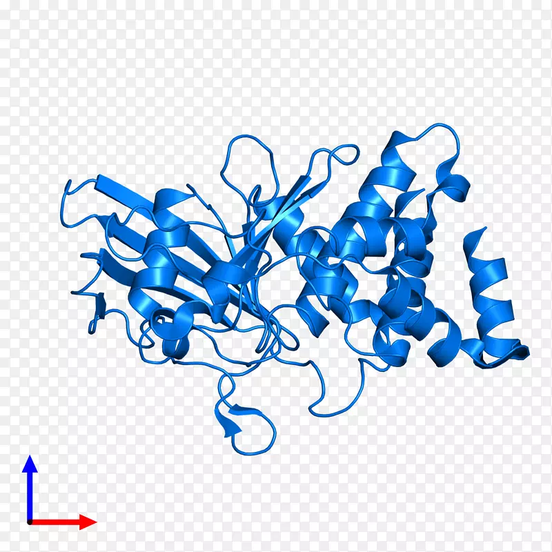 线点生物剪贴画线