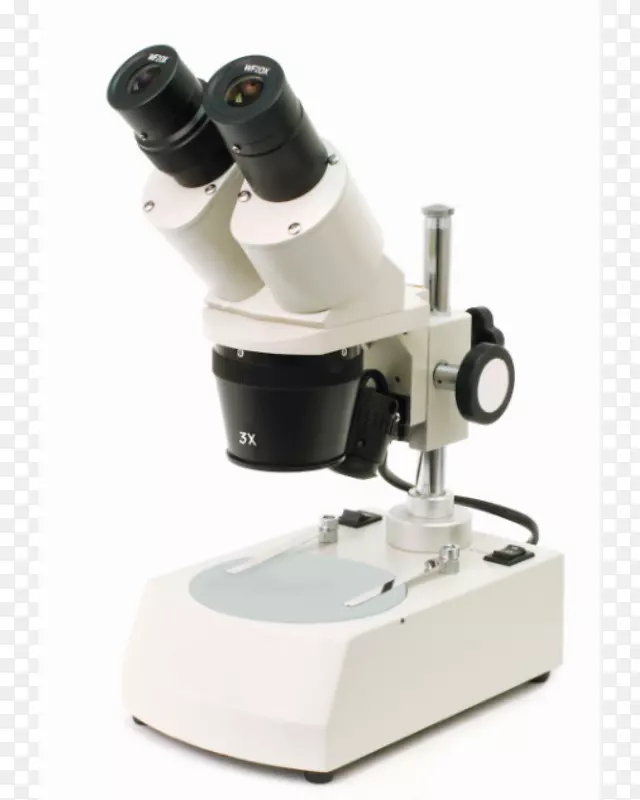 立体显微镜放大光学动物标本立体显微镜