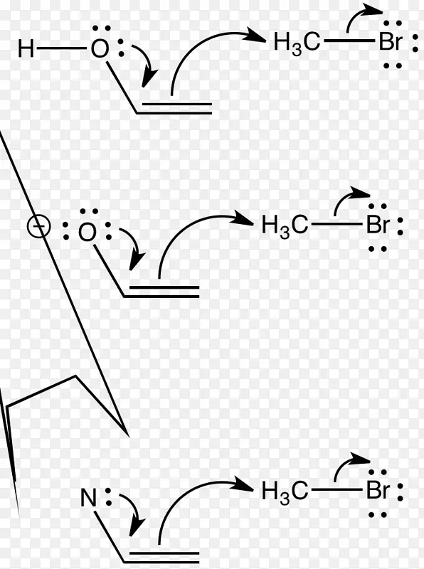 化学亲核阴离子单对亲核