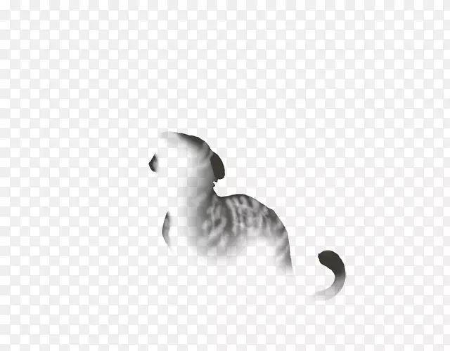 猫尾白黑m字型