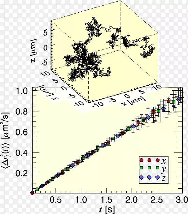 测量观测误差实验物理轨迹单粒子跟踪变形链球菌