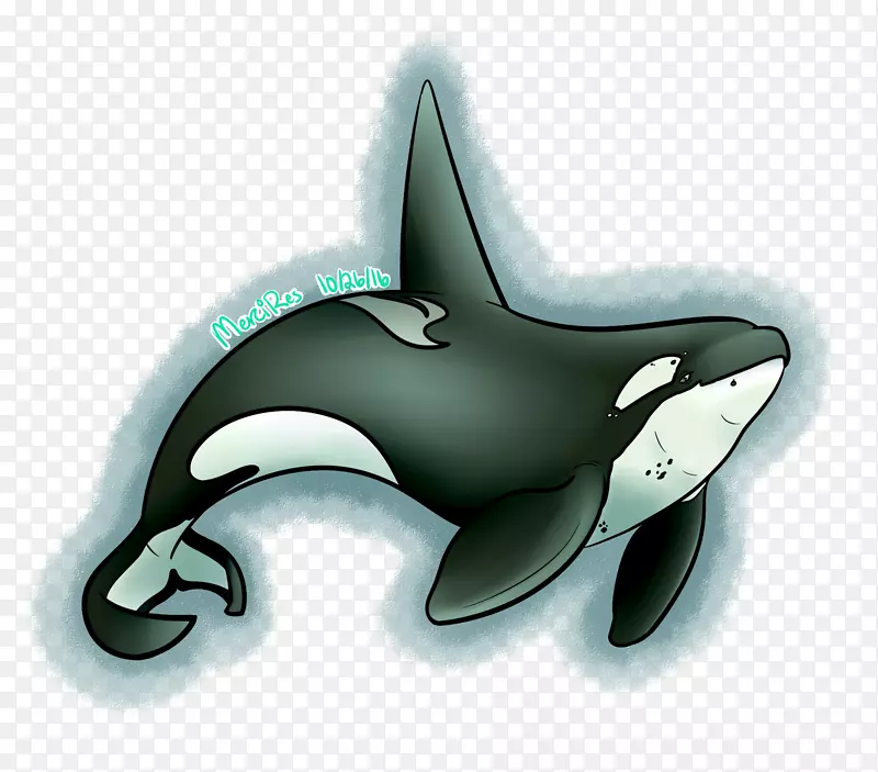 海豚艺术家虎鲸艺术-海豚