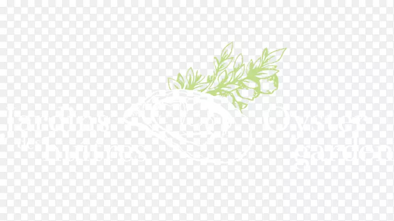 桌面壁纸草叶植物茎字体叶