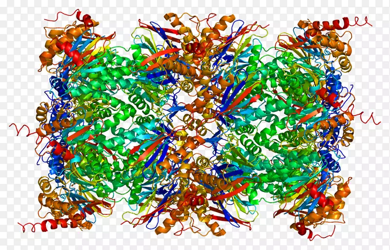苏氨酸蛋白酶组丝氨酸蛋白酶-ATM丝氨酸激酶