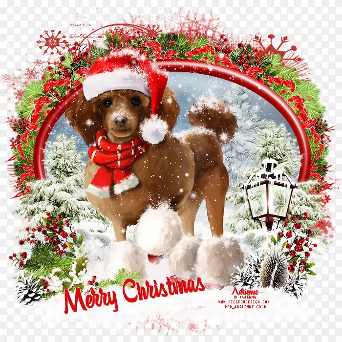 圣诞装饰品雪球狗繁殖小狗雪