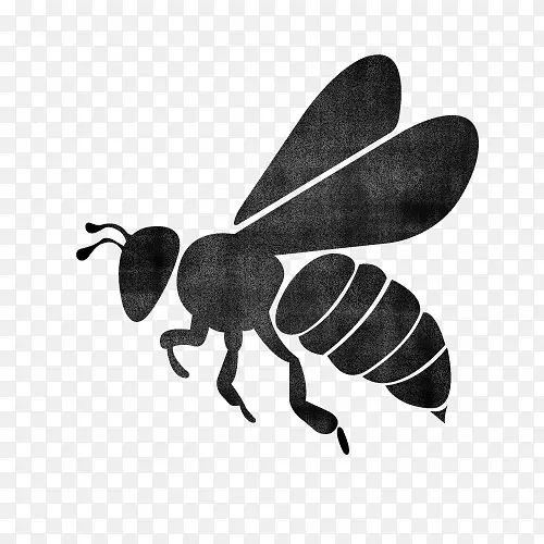 欧洲黑蜂剪影蜂后