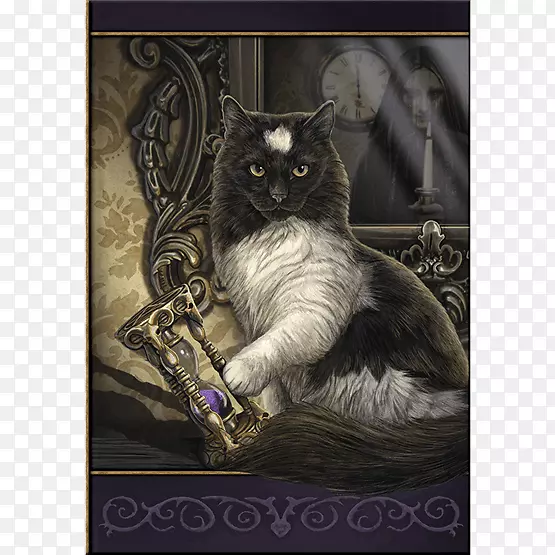黑猫魔术艺术-猫