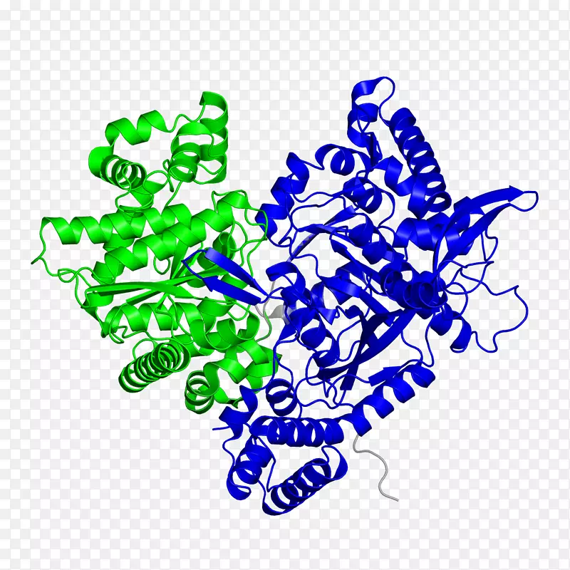 NiFe氢酶产氢酶碱性磷酸酶糖原磷酸化酶