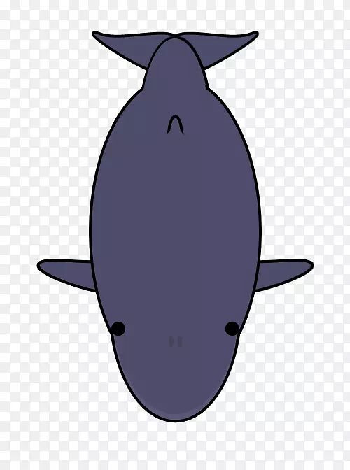 海豚甲壳动物剪贴画设计