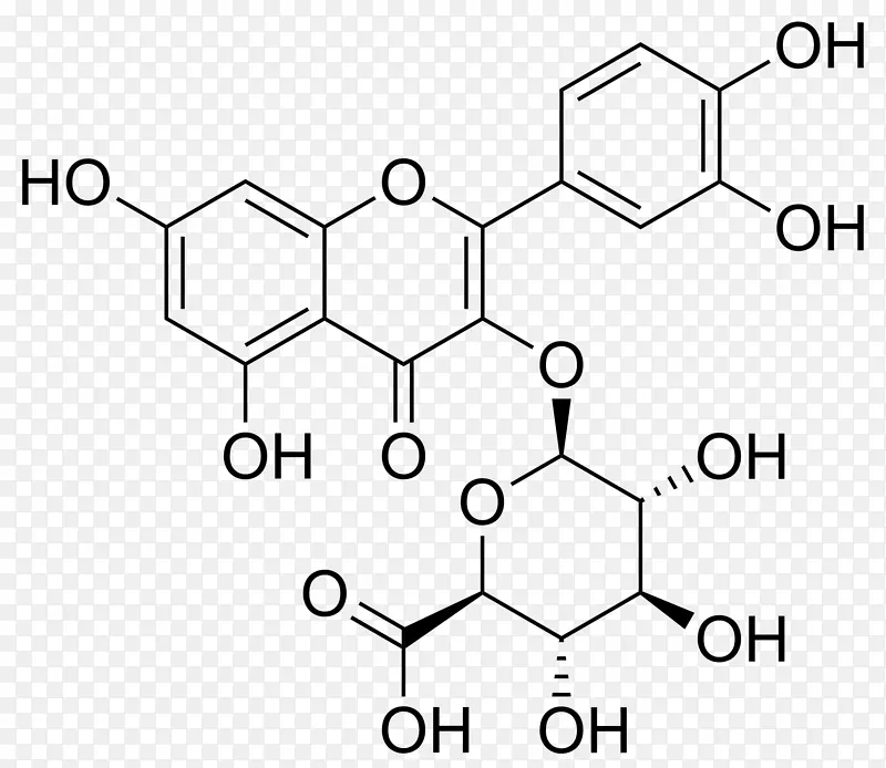 槲皮素苷黄酮甙杨梅苷