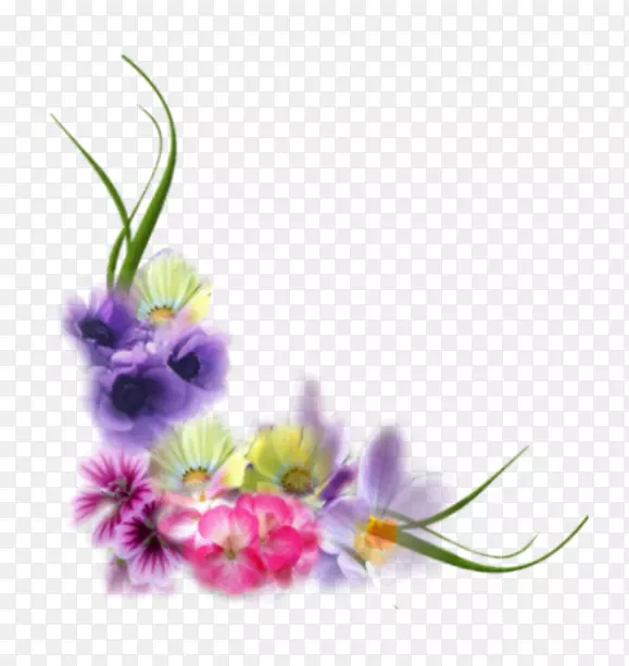 花卉设计画框.花.网花