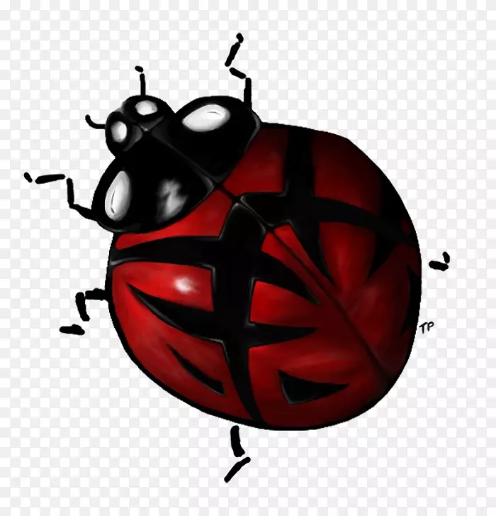 甲虫女鸟夹艺术-甲虫