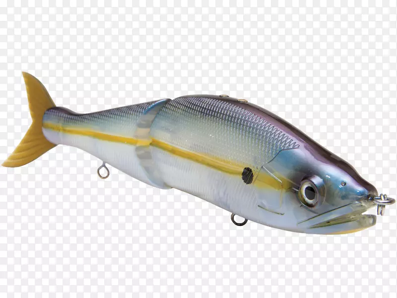 沙丁鱼海洋生物油鱼乳鱼海洋条纹鲈鱼捕捞