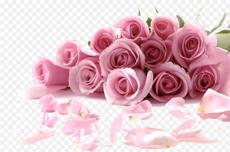 玫瑰花束桌面壁纸粉红